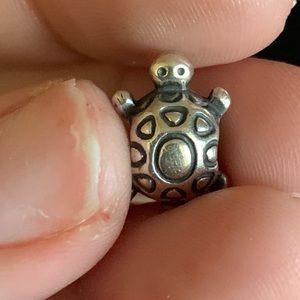 Turtle Pandora charm